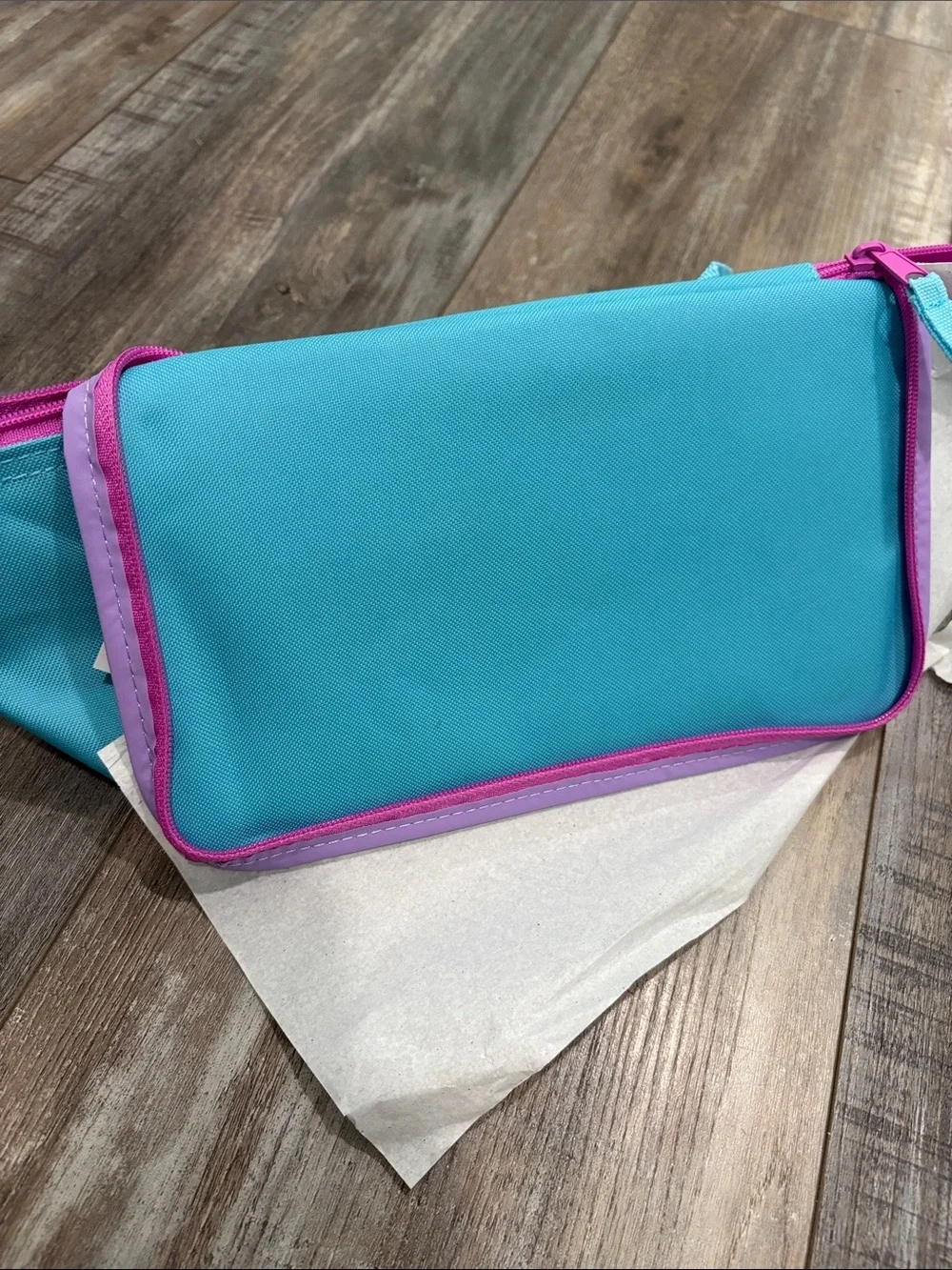Trader Joe’s Mini Insulated Lunch Bag - Pink and Blue